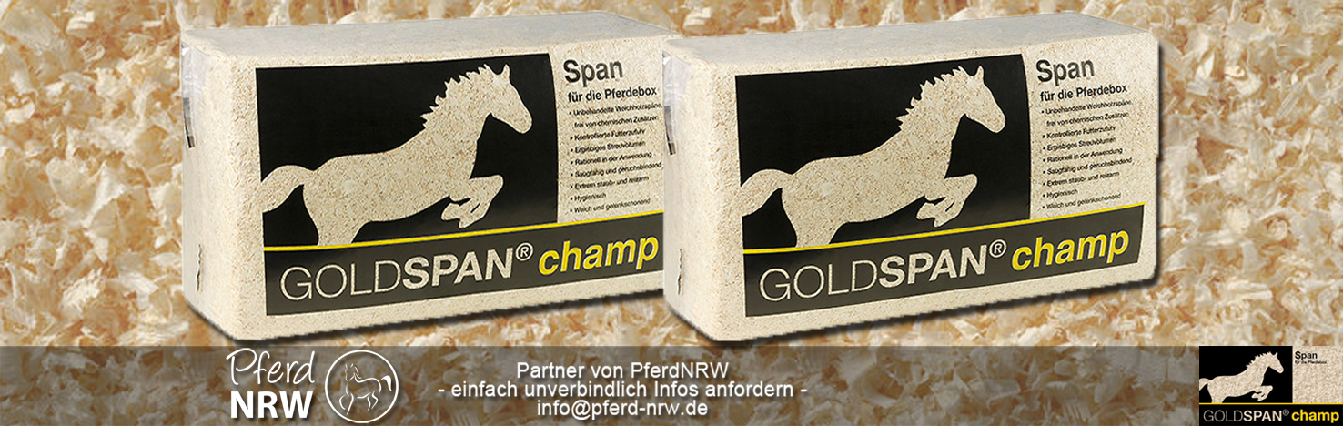 GOLDSPAN champ