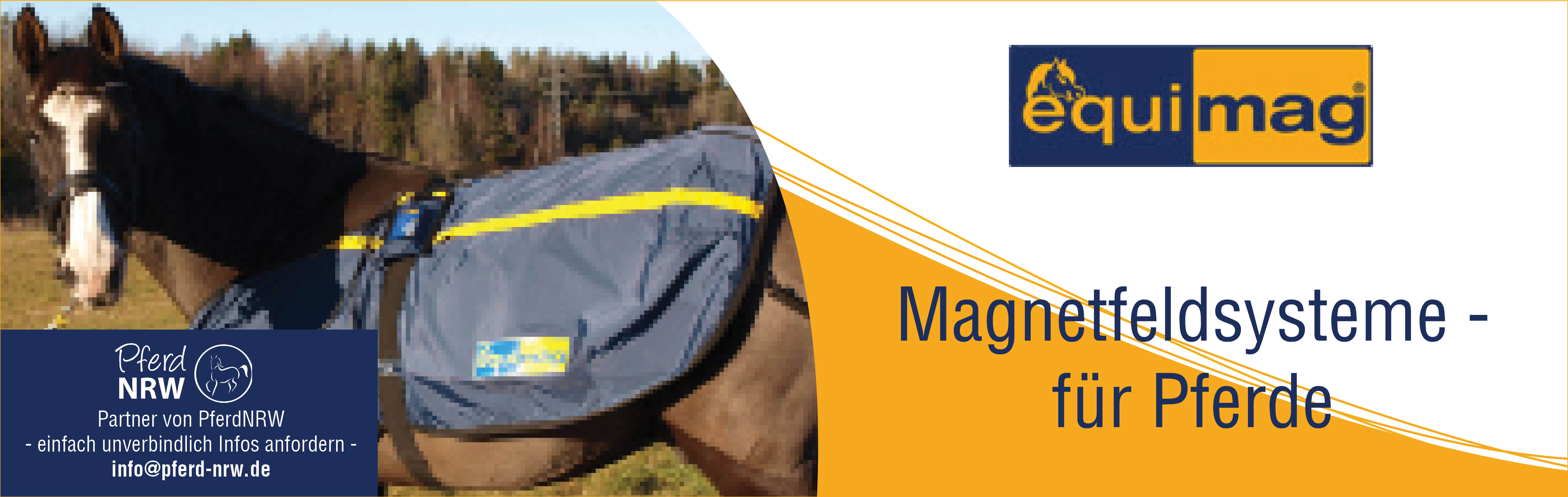 Equimag