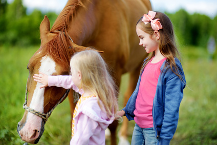 Therapie mit dem Pferd